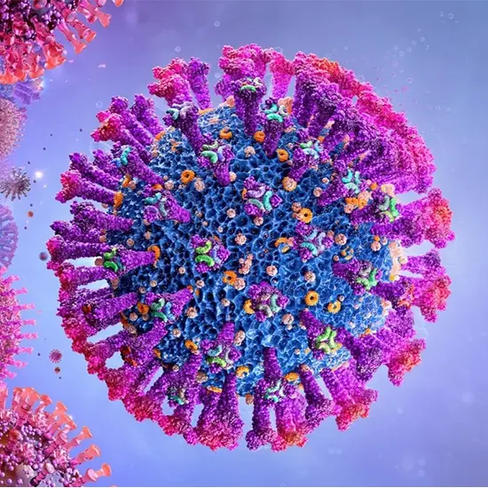 Rhinovirus Infection